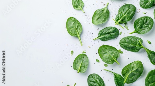 Fresh spinach leaves isolated on white background. Flat lay food ingredient concept with copy space. Design for health and nutrition themes.
