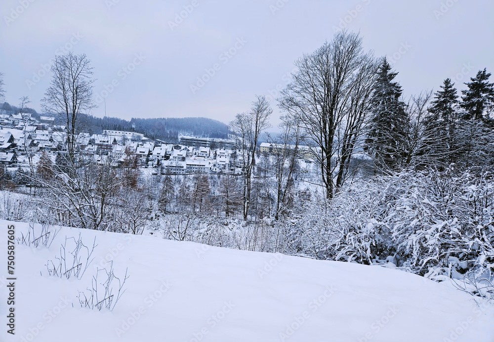 Naklejka premium winter-villages-background in Winterberg 