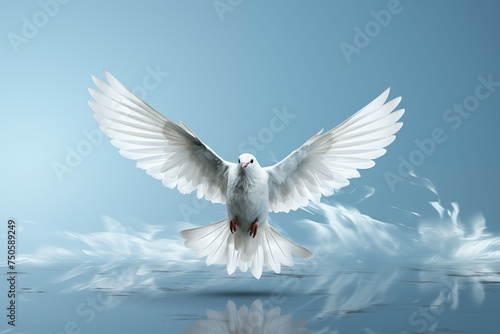 white dove flying free on light and soft blue and white background for freedom and relax design © kenkuza