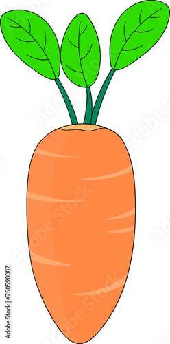 cartoon doodle illustration, icon of fresh orange carrot, a vegetable with lots of nutrition