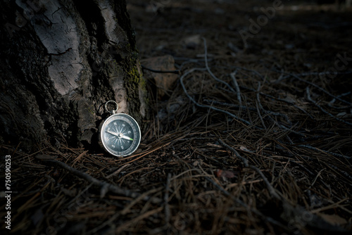 Glass compass beside tree at sunset