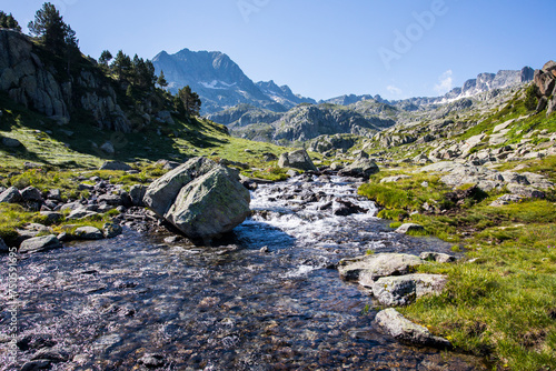 Summer landscape in Aiguestortes and Sant Maurici National Park, Spain