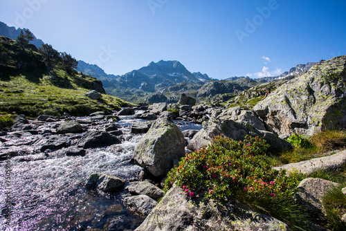 Summer landscape in Aiguestortes and Sant Maurici National Park, Spain