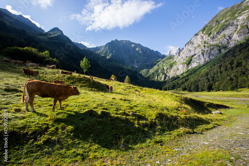 Summer in Uelhs Deth Joeu waterfall, Val D Aran, Spain photo