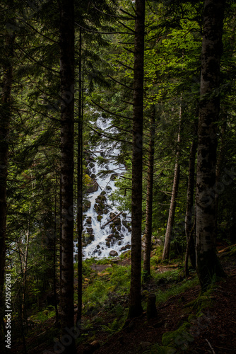 Wallpaper Mural Summer in Uelhs Deth Joeu waterfall, Val D Aran, Spain Torontodigital.ca