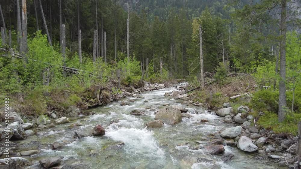riverbed in the Tatras mountains riverbed in the Tatras mountains