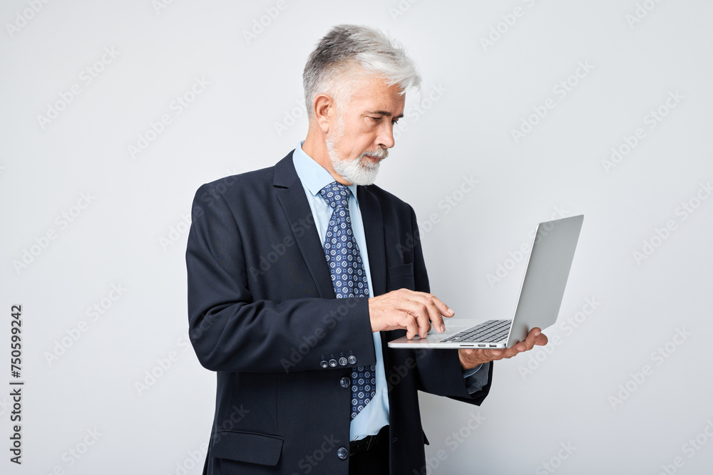 Senior businessman using laptop on white background. Senior businessman using laptop on white background.