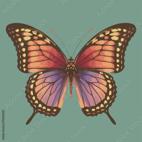 Vector Butterfly on a white background illustration flat design  photo