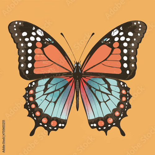 Vector Butterfly on a white background illustration flat design  photo