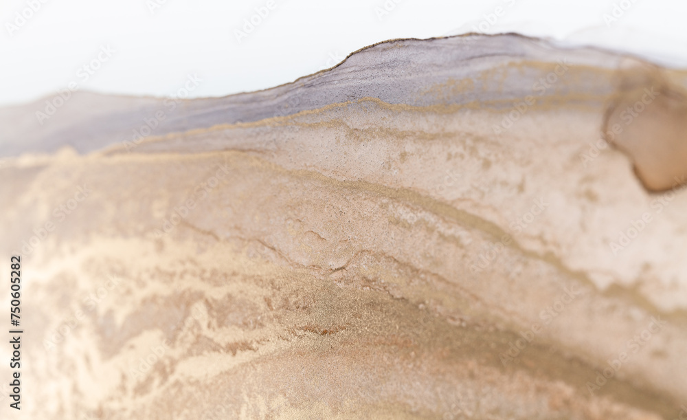 Fototapeta premium Luxury abstract fluid art alcohol ink technique: bronze, silver, metallic and gold color.