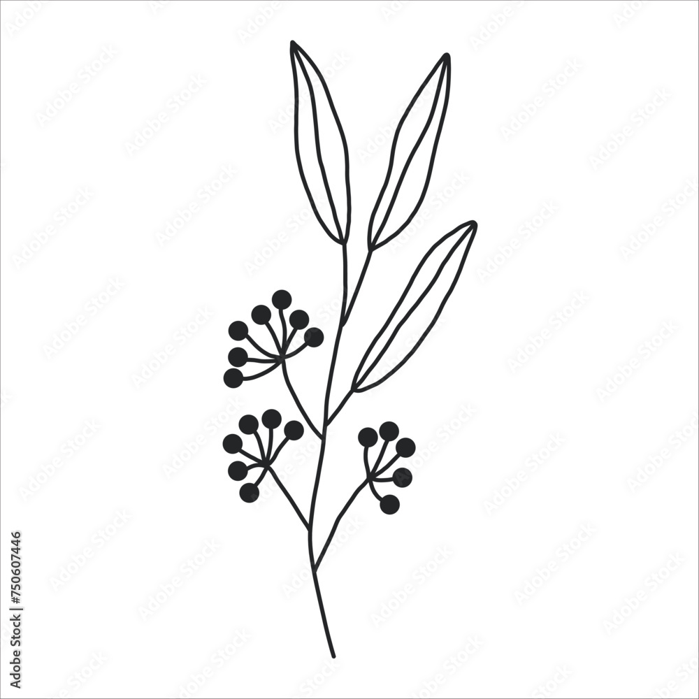 Fototapeta premium Black silhouette of a plant branch. Flower branch in outline style hand drawn on isolated white background. Vector stock illustration. Minimal line art for print, cover or tattoo.
