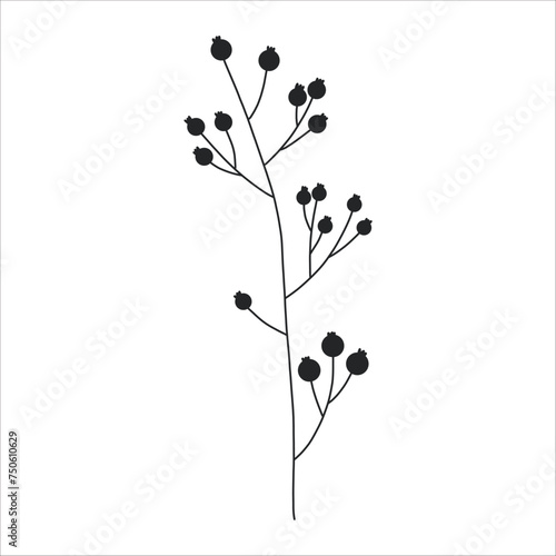 Black silhouette of a plant branch. Flower branch in outline style hand drawn on isolated white background. Vector stock illustration. Tropical leaves. Minimal line art for print  cover or tattoo. 