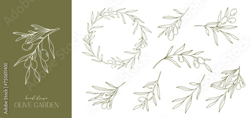 Olives Line Drawing. Black and white Olive Frame. Olive Wreath Isolated. Floral Line Art. Fine Line Olive  illustration. Black and white Olive Branches. Hand Drawn Olive. Wedding invitation greenery