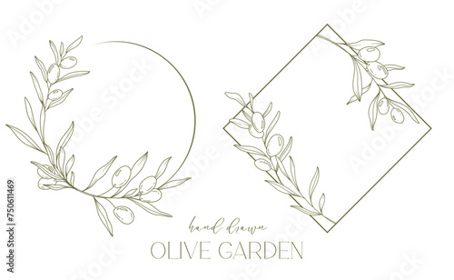 Olives Line Drawing. Black and white Olive Frame. Olive Wreath Isolated. Floral Line Art. Fine Line Olive  illustration. Black and white Olive Branches. Hand Drawn Olive. Wedding invitation greenery