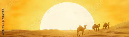camel walks in the desert, ...