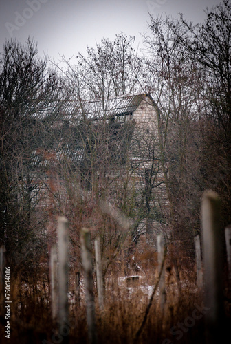 Abandoned house in the forest village at winter. Mystery landscape archittcture. Evening at village. Snow on the roof photo