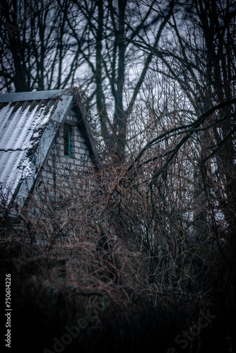 Abandoned house in the forest village at winter. Mystery landscape archittcture. Evening at village. Snow on the roof