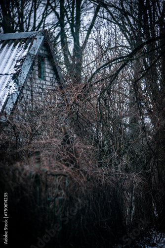 Abandoned house in the forest village at winter. Mystery landscape archittcture. Evening at village. Snow on the roof