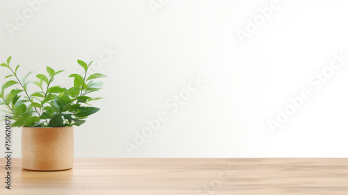 Grunge natural wooden desk top with a little plant with copy space for product advertising over blurred brushed white background