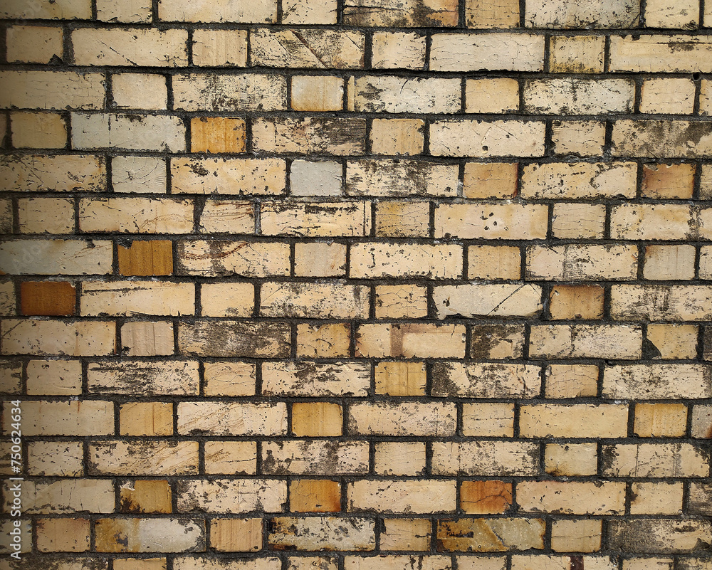Obraz premium Multi colour brick wall