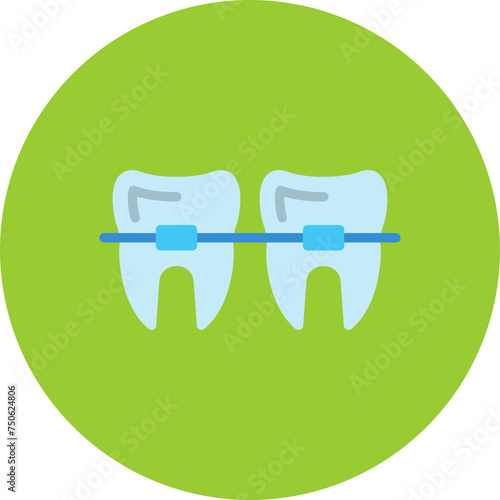 Braces Flat Circle Icon