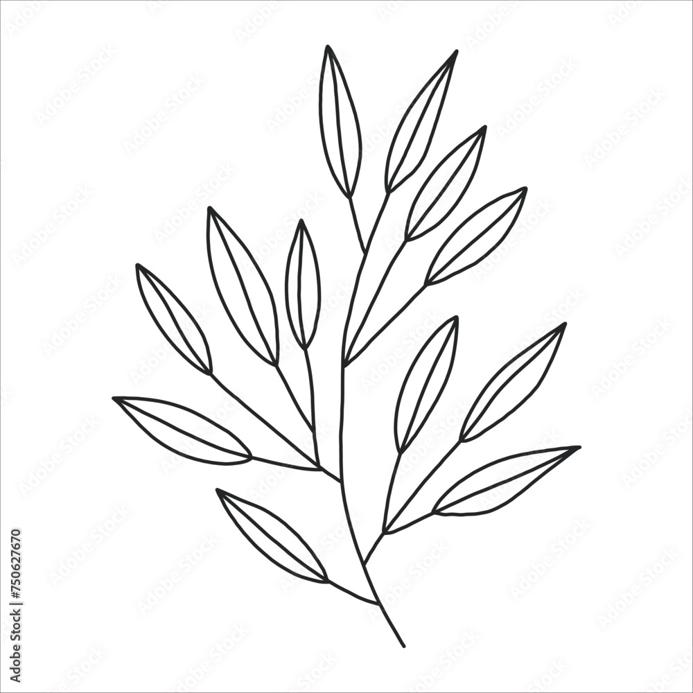 Fototapeta premium Black silhouette of a plant branch. Flower branch in outline style hand drawn on isolated white background. Vector stock illustration. Minimal line art for print, cover or tattoo.