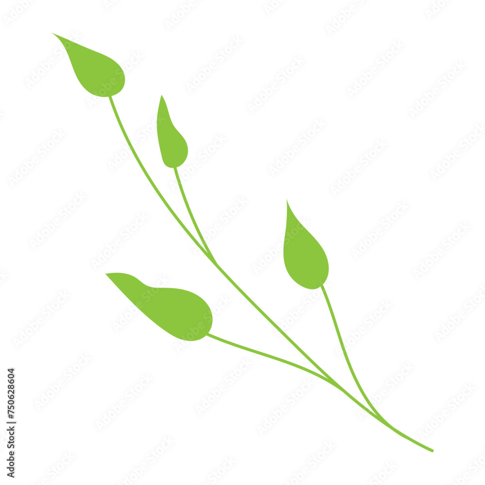 Obraz premium Leaf plant element for beautiful design. Simple form. Vector drawing.