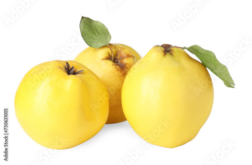 Fresh ripe quince fruits isolated on white