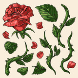 natural rose set logotypes colorful