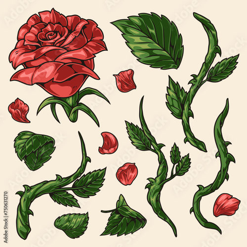 natural rose set logotypes colorful