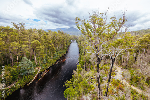 Tahune Airwalk in Tasmania Australia photo