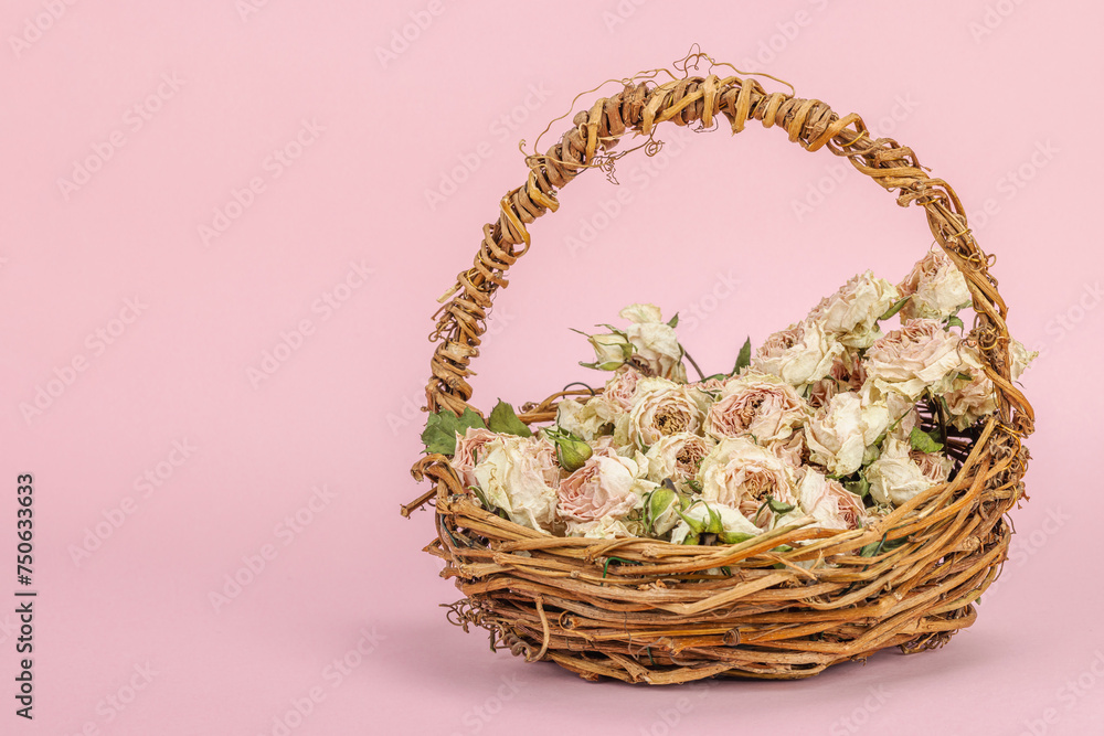 Creative composition with dry delicate roses in homemade wicker basket. Greeting card, pastel pink background