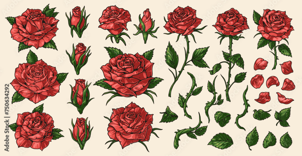 Seasonal roses colorful set stickers Seasonal roses colorful set stickers