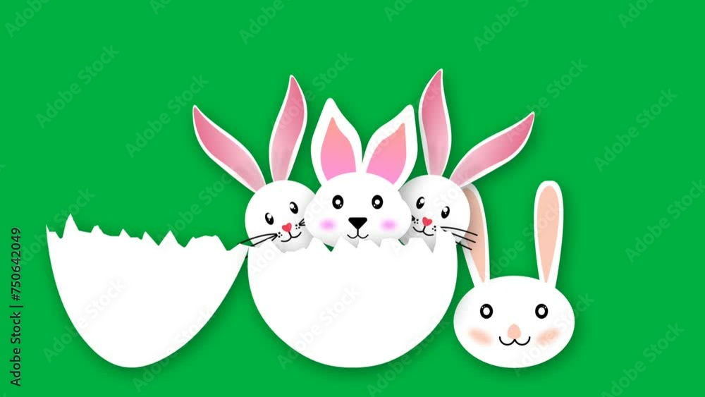 Cute rabbits looking from broken egg animation on green screen. Easter egg hunting animated clip. Cute rabbits looking from broken egg animation on green screen. Easter egg hunting animated clip.