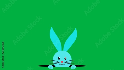 Wallpaper Mural Blue animated bunny looking from hole on green screen. bunny animation for easter holiday. Torontodigital.ca