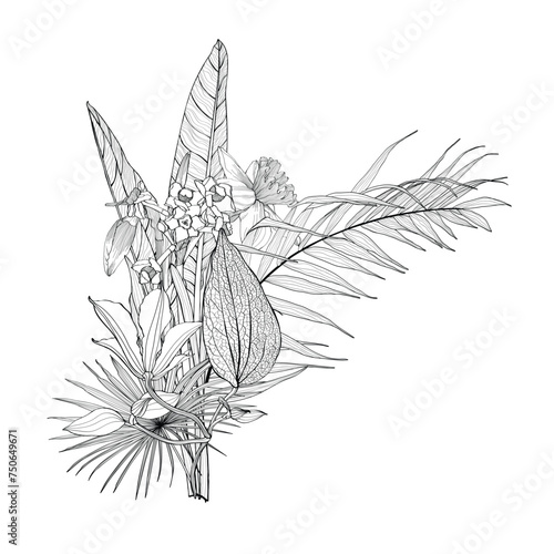 Floral line bouquets with black and white hand drawn herbs, flowers and palm leaves insects in sketch style. photo