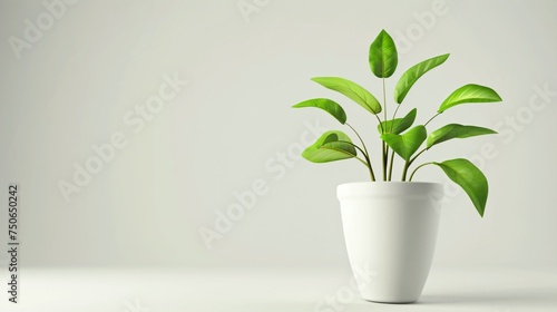 A 3D illustrated pot with lush green leaves radiating growth and happiness on a white background