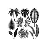 black and white silhouettes of leaves