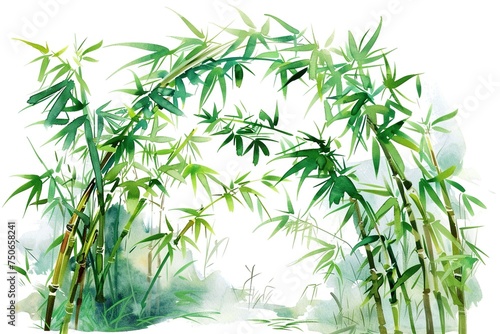 Bamboo Grove water color style isolate on white Clip art