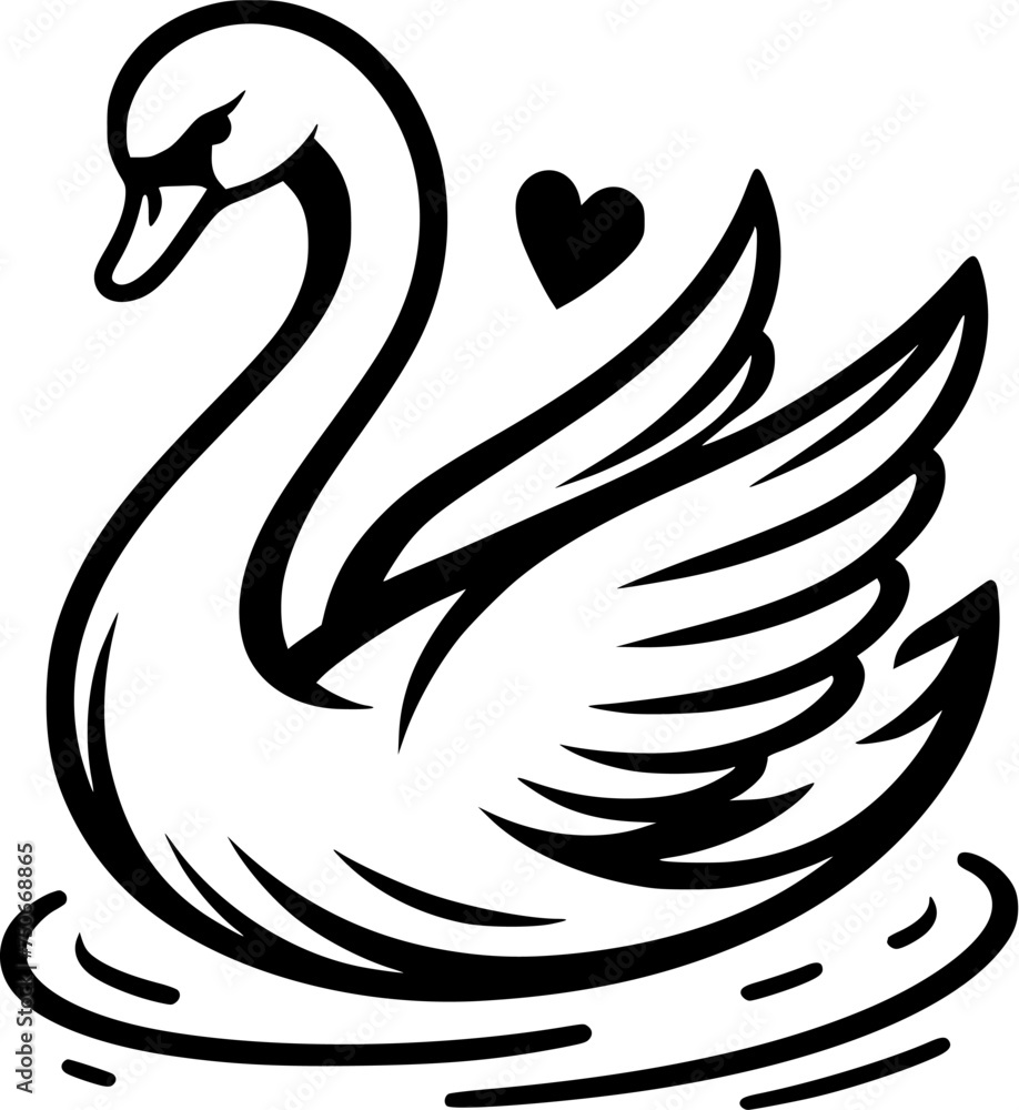 Fototapeta premium black and white swan