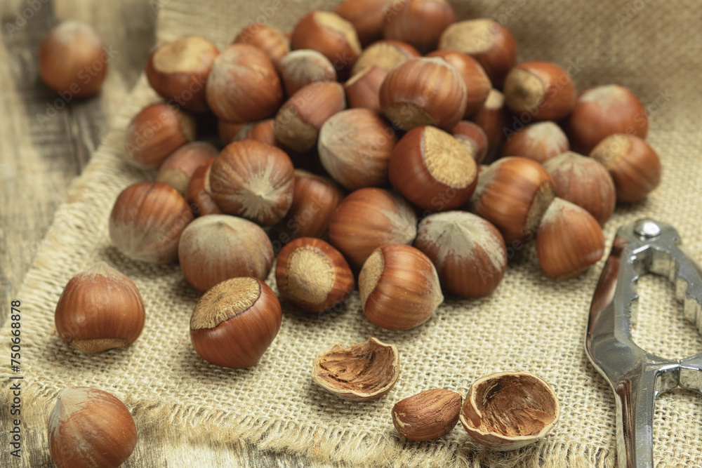 Hazelnuts in the shell close-up. Hazelnut on a wooden table. Natural food products. Close up, copy space Hazelnuts in the shell close-up. Hazelnut on a wooden table. Natural food products. Close up, copy space