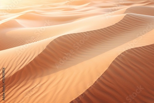 Sand patterns formed by wind on a desert dune during golden hour © Dan