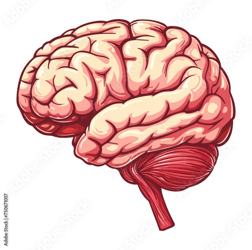 Human brain icon, Mind symbol vector illustration.