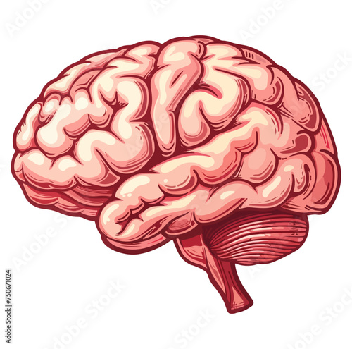 Human brain icon, Mind symbol vector illustration.