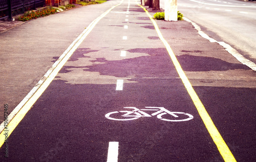  Bike Lane.  Bicycle  symbol