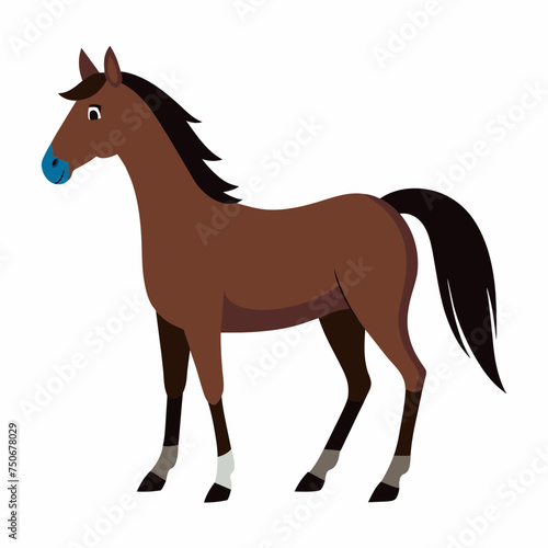 Horse colt filly mare stallion bronco foal gelding mustang nag plug pony steed animal pet vector illustration draw cartoon pretty cute