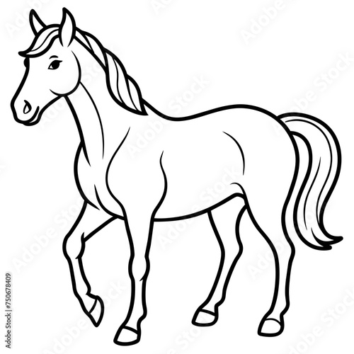 Horse colt filly mare stallion bronco foal gelding mustang nag plug pony steed animal pet vector illustration draw cartoon pretty cute