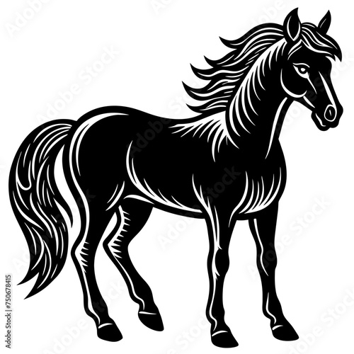 Horse colt filly mare stallion bronco foal gelding mustang nag plug pony steed animal pet vector illustration draw cartoon pretty cute