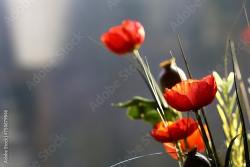Artificial orange poppies in front of a blurred window