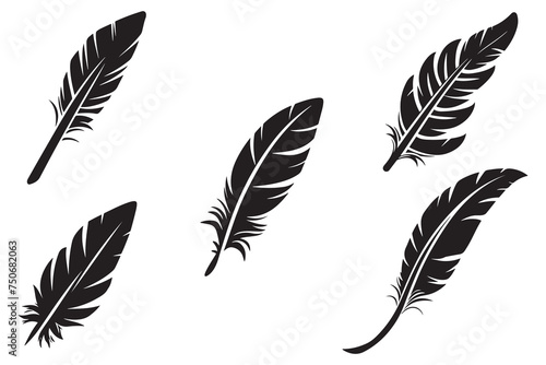 Bird Feather Vector outline vector on white background illustration photo